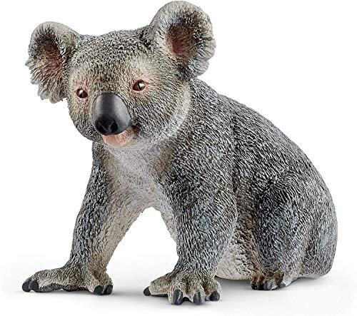 Koala (animal)