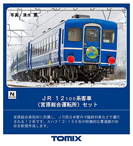 12 series guest train